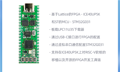 學FPGA、學MCU、學FPGA +MCU？一塊板搞定！