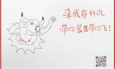 活用經(jīng)濟(jì)學(xué)社會(huì)學(xué)管理學(xué)理論，帶動(dòng)薩科微和金航標(biāo)高速發(fā)展！